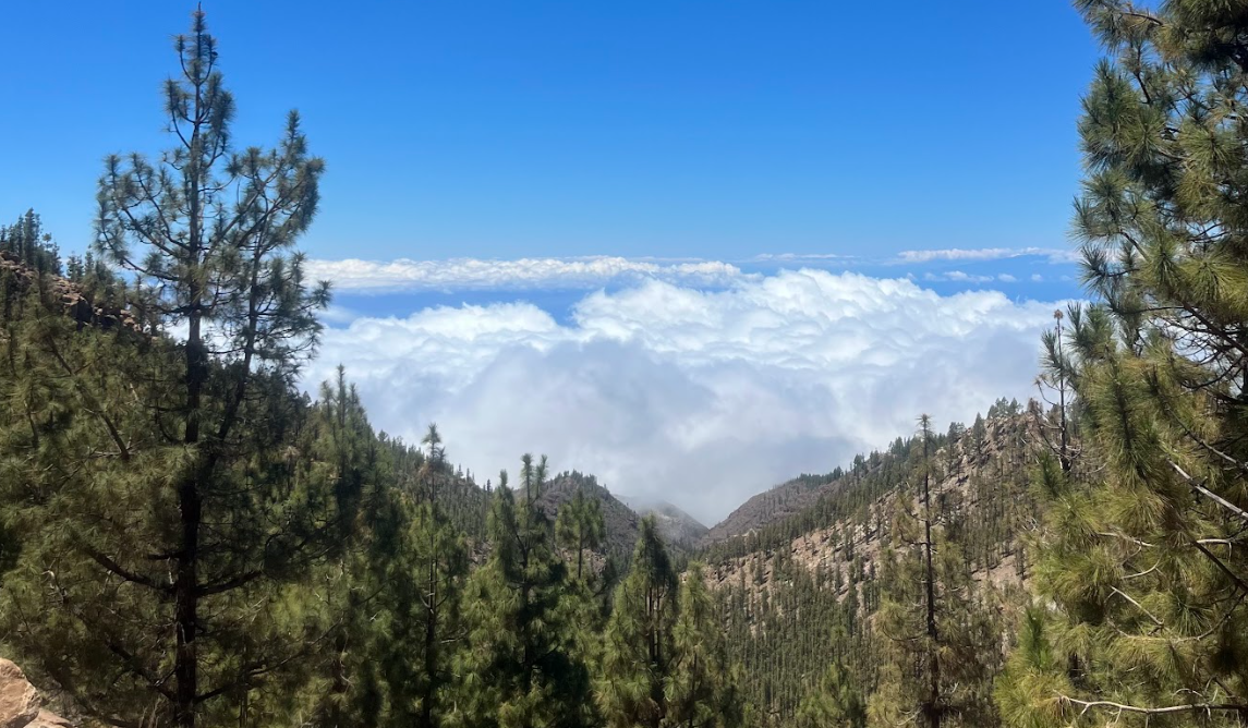 Teide Essence privado